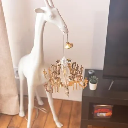 Appartement Immeuble L'aristocrate - L'epicurien- Bd Carnot Angers